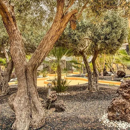 Duplex Paradise Parque Tropical 1 Cristianos Los Cristianos (Tenerife)